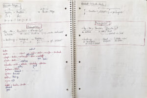 organisationsskizzen008