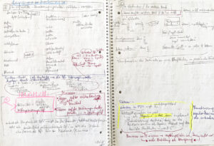 schlitzen-struktur-03